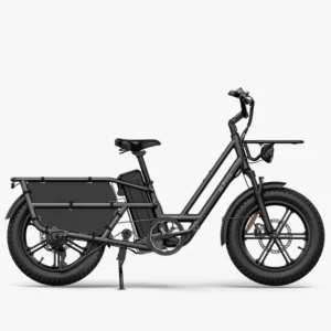 fiido t2 longtail cargo e bike
