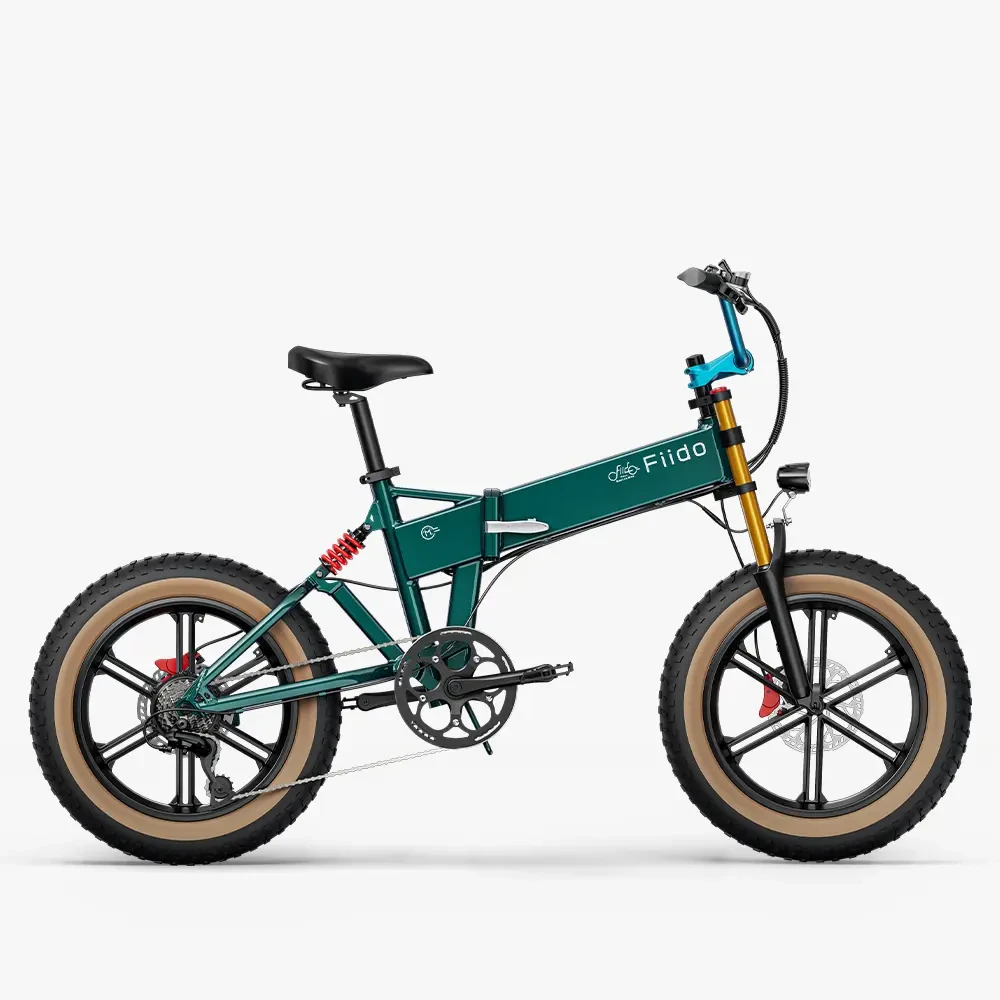 fiido m1 pro fat tire electric bike